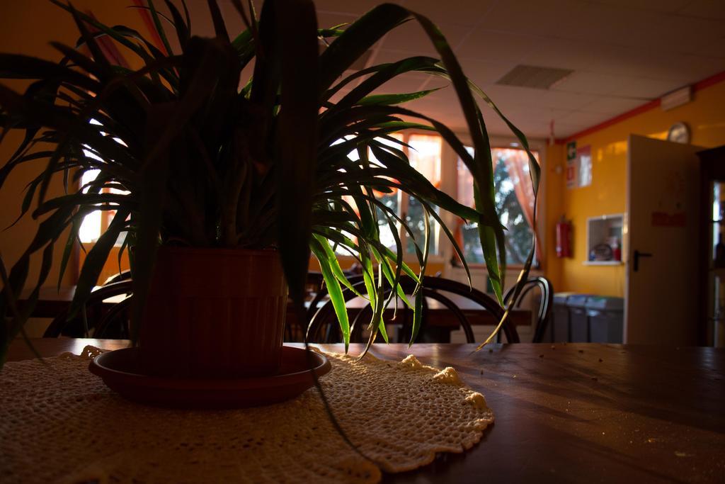 Casa Per Ferie Raggio Di Sole Bed & Breakfast Ceriale Dış mekan fotoğraf
